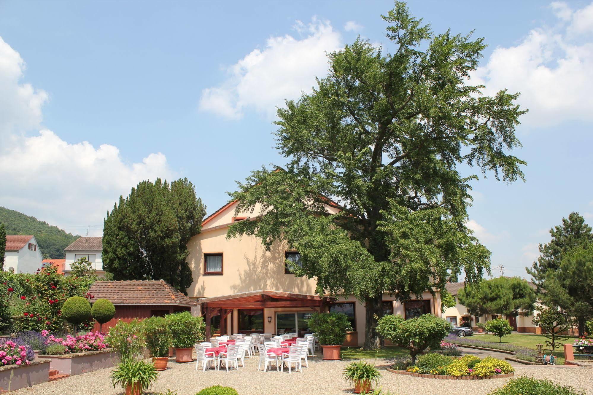 Hotel Tenner Neustadt an der Weinstraße Dış mekan fotoğraf